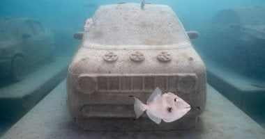 متنزه مفتوح: سيارات خرسانية تحت الماء لإحياء الشعاب المرجانية بفلوريدا