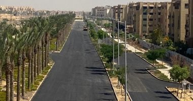 كيف أصبحت نيو هليوبوليس محور الاستثمار المحلي وتحقيق عوائد الدولة؟