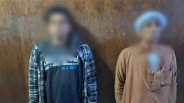 عاجل: خيول تثير الجدل بمدرسة بولاق الدكرور والأمن يكشف التفاصيل