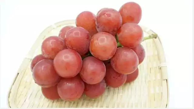 لماذا العنب كنز صحي؟ 5 فوائد صحية