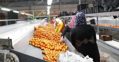 وزير الزراعة: مصر تفتح 25 سوقا دوليا وتصدر 405 سلع لـ167 دولة