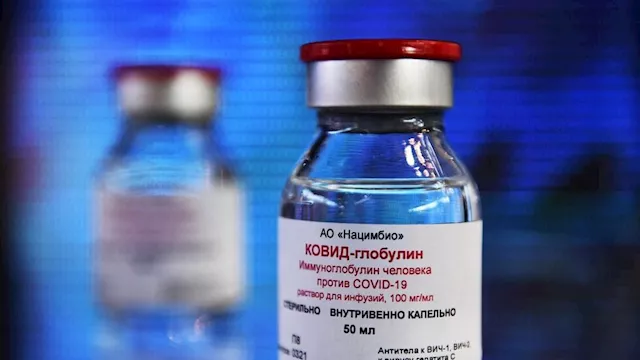 أكثر 5 أسئلة بحثا على جوجل في مجال الصحة خلال 2025: كوفيد يتصدر