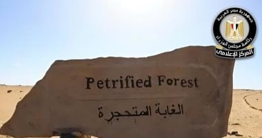 مجلس الوزراء يوضح التعدي على أشجار محمية الغابة المتحجرة بالتجمع