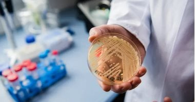 مقاومة العلاج: تحذير من عدوى فطرية تنتشر في الولايات المتحدة