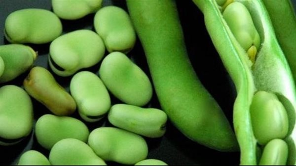 كيف يؤثر فول الحيراتي على جسمك؟