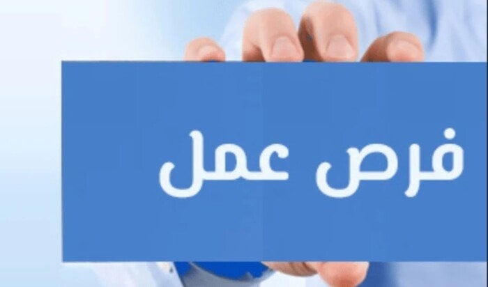 رواتب تصل إلى 20 ألف جنيه.. 77 وظيفة شاغرة بشركة سكاي للموانئ في بورسعيد