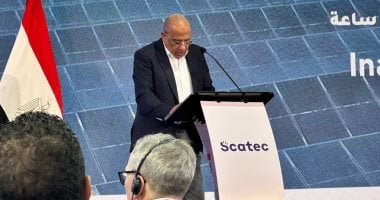 وزير الكهرباء: الشبكات جاهزة لربط مصر والسعودية