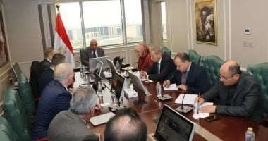 وزير الكهرباء يبحث مع أكوا باور تعزيز التعاون في الطاقة المتجددة