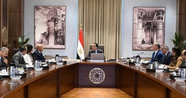 رئيس الوزراء يعزز الاستفادة من الخامات التعدينية والمحجرية في مصر