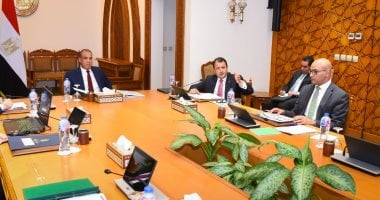 وزير الخارجية يؤكد أولوية الدائرة الإفريقية في سياسة مصر الخارجية