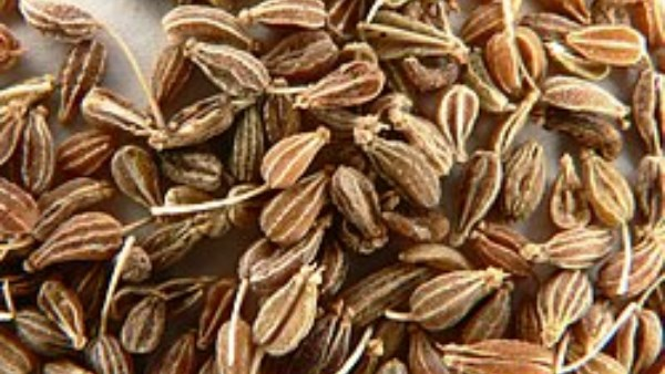 ما تأثير اليانسون على الجسم؟