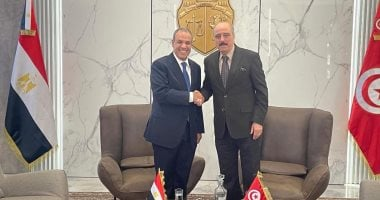 وزير الخارجية: نؤيد تسوية سياسية شاملة لحفظ وحدة ليبيا