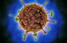 ما سبب الإصابة بفيروس نيباه؟