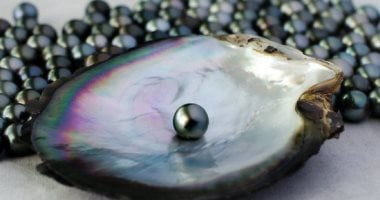 أجمل 4 أحجار كريمة سوداء.. حظ الأسد وموضة 2026