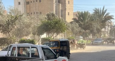 الطقس اليوم: تقلبات ورياح وأتربة وفرص أمطار والصغرى بالقاهرة 12°