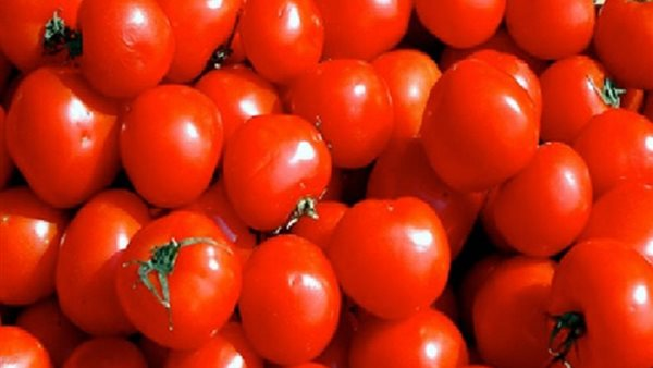 الطماطم بسعر 3.5.. أسعار الخضروات والفواكه اليوم 31 يناير 2026