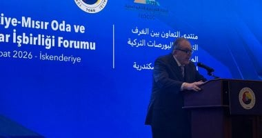 أحمد الوكيل: 13 مليار دولار استثمارات شركات مصرية بالخليج وإفريقيا