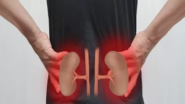 علامات مبكرة لمرض الكلى المزمن وخطوات الوقاية