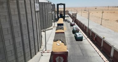 المركزى للمحاسبات يكشف سر أرباح مطاحن دلتا: بنوك تفوق إنتاج الدقيق