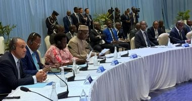 وزير الخارجية يستعرض رؤية مصر للشراكة والتنمية المستدامة