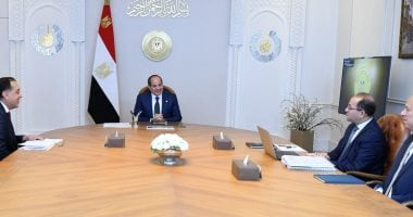 وزير المالية يعرض تطورات المفاوضات مع صندوق النقد أمام الرئيس السيسى