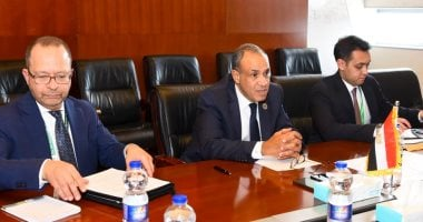 وزير الخارجية يبحث مع المديرة التنفيذية لصندوق المناخ الأخضر