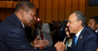 وزير الخارجية يجتمع مع رئيس جمهورية أفريقيا الوسطى ورئيس وزراء الكاميرون