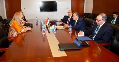 وزير الخارجية يؤكد دور القطاع الخاص في التنمية المستدامة في أفريقيا