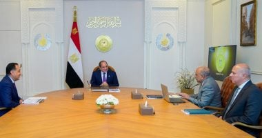 السيسى يوجه التوسع في مشروعات الطاقة المتجددة والحد من الوقود الأحفوري