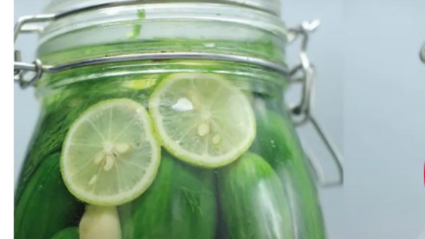 قبل رمضان: طريقة عمل خيار مخلل في المنزل