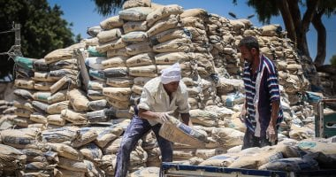 أول أيام رمضان: سعر الأسمنت الخميس 19-2-2026