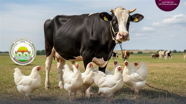 نصف شهر كافٍ لتغيير خريطة الإنتاج الحيواني بأرقام جديدة