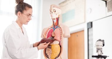 مش بس السكر.. عوامل تزيد خطر الإصابة بالكبد الدهنى وطرق العلاج