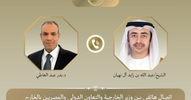 وزير الخارجية يبحث مع نظيره الإماراتي تطورات غزة والسودان
