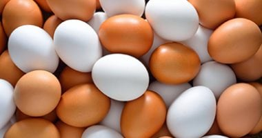 سعر طبق البيض بالقليوبية الأربعاء 25-2-2026: الأبيض 125 جنيها