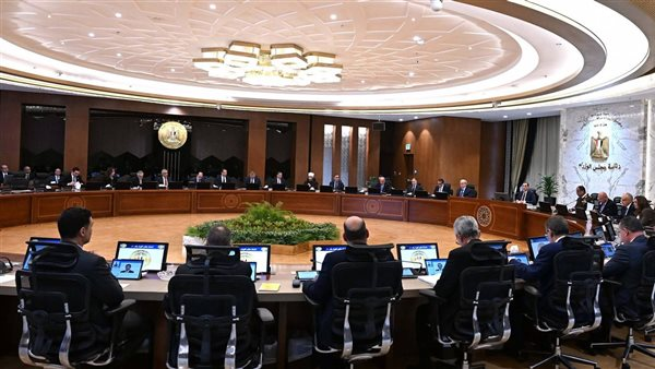 السيسي يوجه الاهتمام بجودة التعليم ومواكبة البرمجة وذكاء اصطناعي