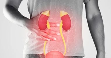 مرض الكلى المزمن: 5 مراحل وتأثيرها وطرق الوقاية