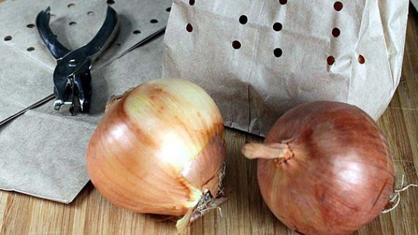 طرق تخزين البصل والثوم بلا رائحة في الثلاجة