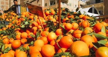 أسعار الفاكهة الطازجة والمستوردة في الأقصر الثلاثاء 3 مارس 2026