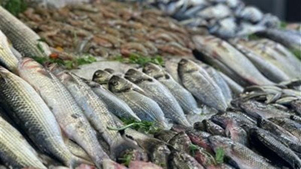 أسعار الأسماك والجمبري صباح الأربعاء 4 مارس 2026