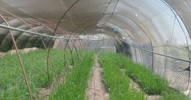 مركز المناخ يصدر توجيهات عاجلة لإنقاذ الموسم الزراعي