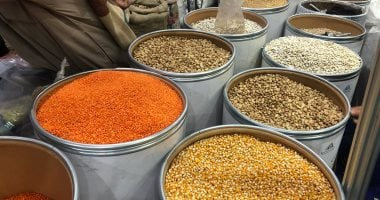 أسعار الفول والبقوليات في كفر الشيخ 4 مارس 2026
