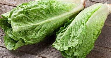 الخس في سحورك يحميك من الجفاف أثناء الصيام ويساعدك على النوم