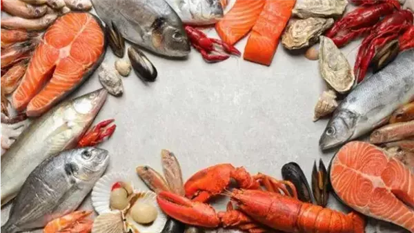 أسعار الأسماك في سوق العبور اليوم: استقرار نسبي وتفاوت الأنواع