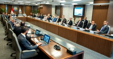 وزير البترول: نتائج المسح السيزمى بغرب أسيوط للمستثمرين بمؤتمر إيجبس