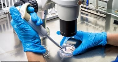 فيتامين ب2 يمهد الطريق لعلاجات جديدة للسرطان: دراسة توضح