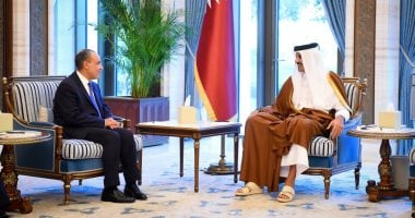 بتوجيهات الرئيس.. وزير الخارجية ينقل دعم وتضامن مصر إلى أمير قطر