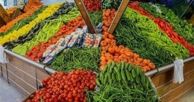 كيلو الطماطم بـ25 جنيها.. أسعار الخضار والفواكه بكفر الشيخ الأحد 15 مارس