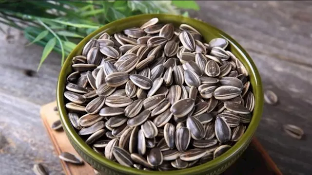 8 فوائد صحية لتناول اللب السوري، وأبرزها تقوية القلب