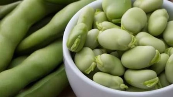 الفول الحراتي يعالج أمراضا خطيرة